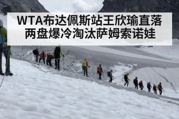 WTA布达佩斯站王欣瑜直落两盘爆冷淘汰萨姆索诺娃